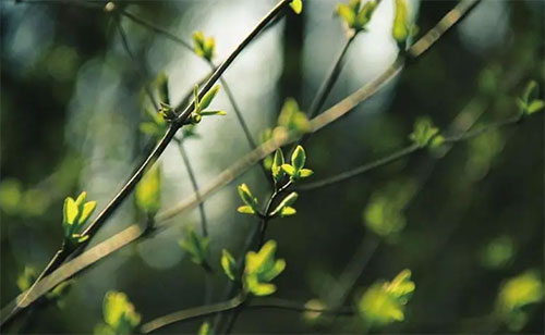 五月|耕耘自己，步履不停