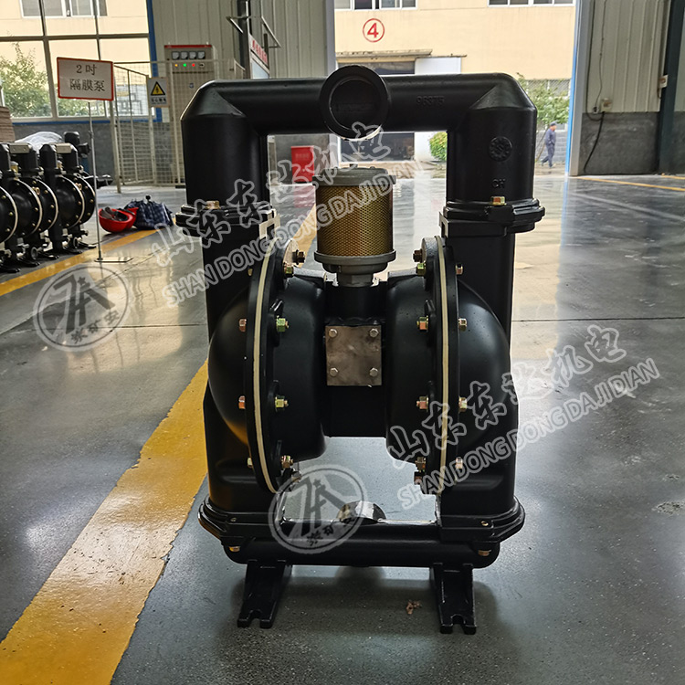 BQG250/0.3气动隔膜泵